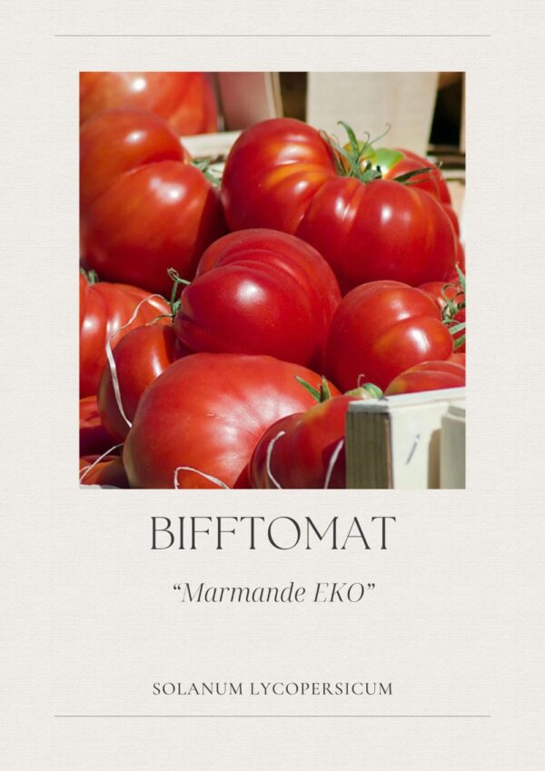 Bifftomat - Marmande EKO