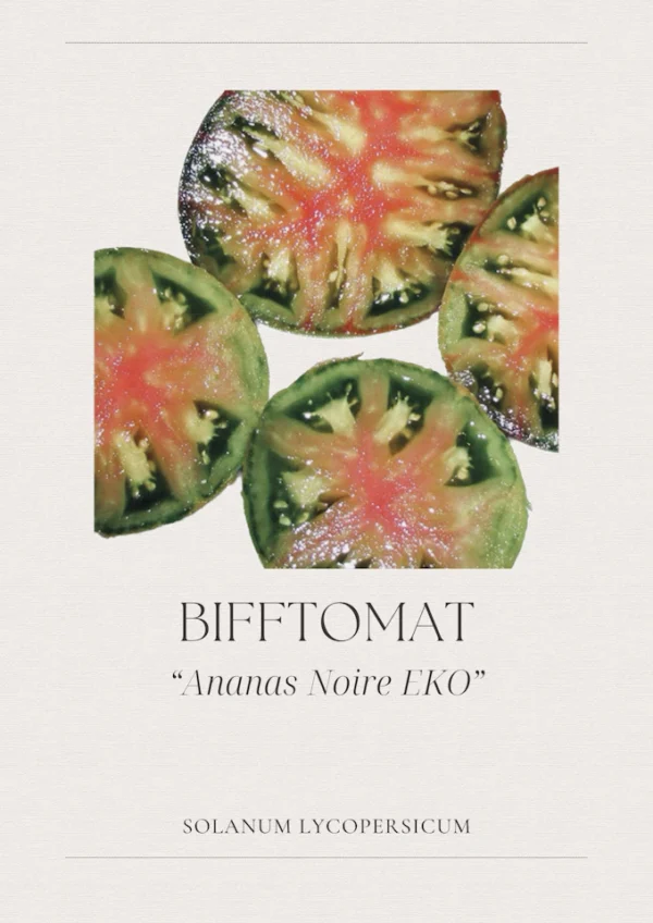 Bifftomat - Ananas Noire EKO