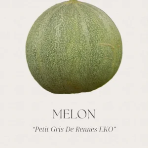 Melon -Petit Gris de Rennes EKO