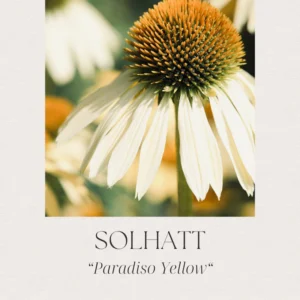 Solhatt- Paradiso Yellow